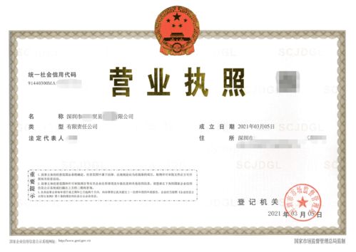 深圳食品貿(mào)易公司注冊(cè),在龍崗區(qū)核心要解決無(wú)地址這一問(wèn)題